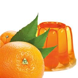 GELATINA  NARANJA  BOLSA 1 KG