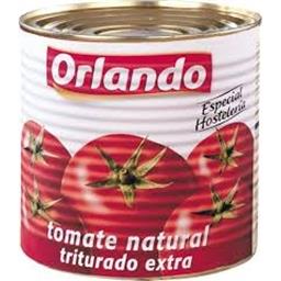 TOMATE TRITURADO