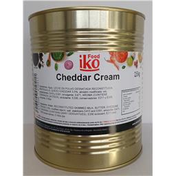 SALSA CHEDAR CREAM