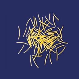 FIDEO Nº2 (ENTREFINO)